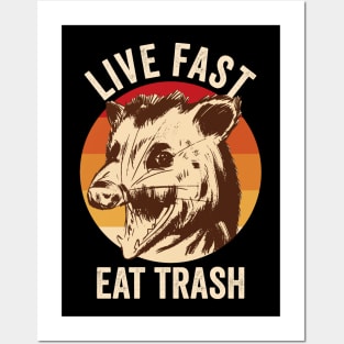 Live Fast Eat Trash Opossum Posters and Art